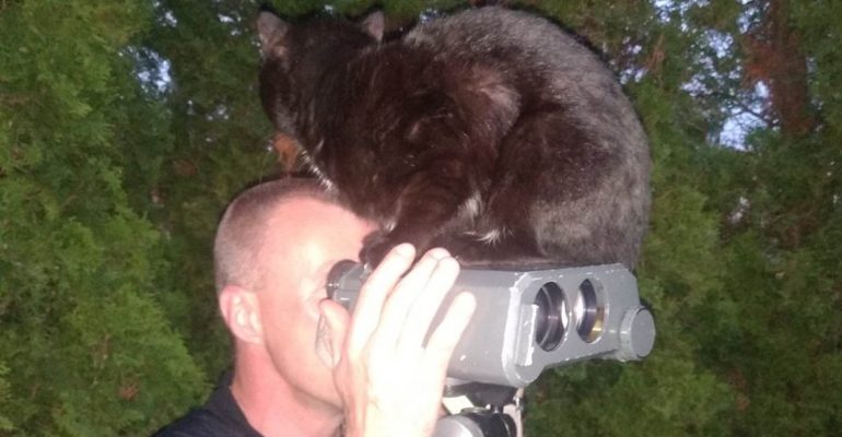 Insolite Un Chat Vient Preter Patte Forte Aux Gendarmes Des Vosges Le Lorrain