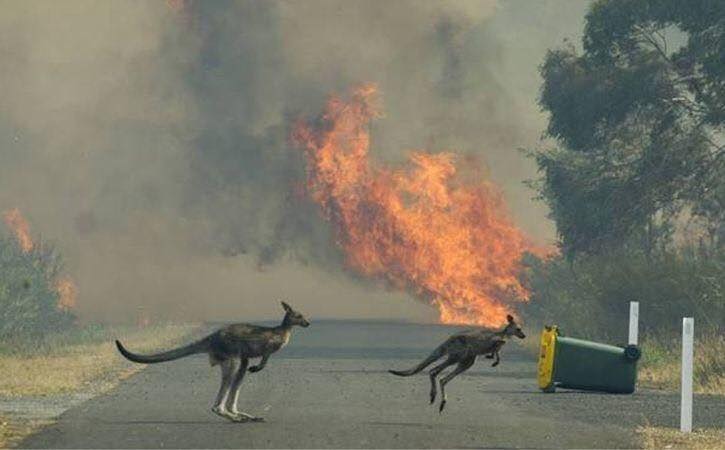 australie-incendie-2019-2020